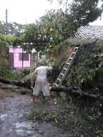 Javier zerhackt umgestürzten Baum mit Machete
